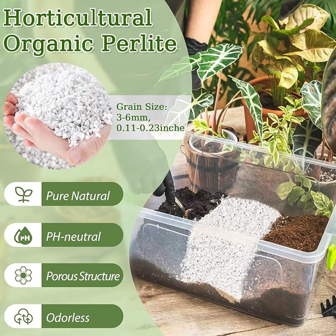 Riare 2 Quarts Organic Perlite for Plants - Horticultural Perlite Soil Amendment for Plants Potting Mix, Natural Chunky Perlite Soil Additive Conditioner Improve Root Growth, Drainage and Ventilation
