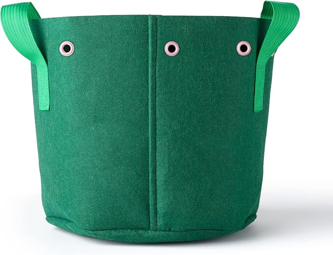 Train N' GRO - 5 Gallon Sustainable Aeration Non-Woven Grow Bags w Low Stress Training Holes - 3 Pack, for Grow Tent / Indoor / Outdoor. Superior Drainage + Breathability for Plants Vegetables + Fruit