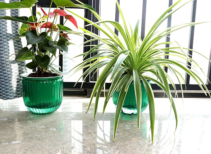 Meicynhoger 2-Pack Vintage Plastic Self-Watering Hanging Planters for Spider Plant,Ivy - 6.5" Clear Flower Pot with Hooks for Indoor Outdoor,Table, Balcony, Wall,Deck,Garden Green