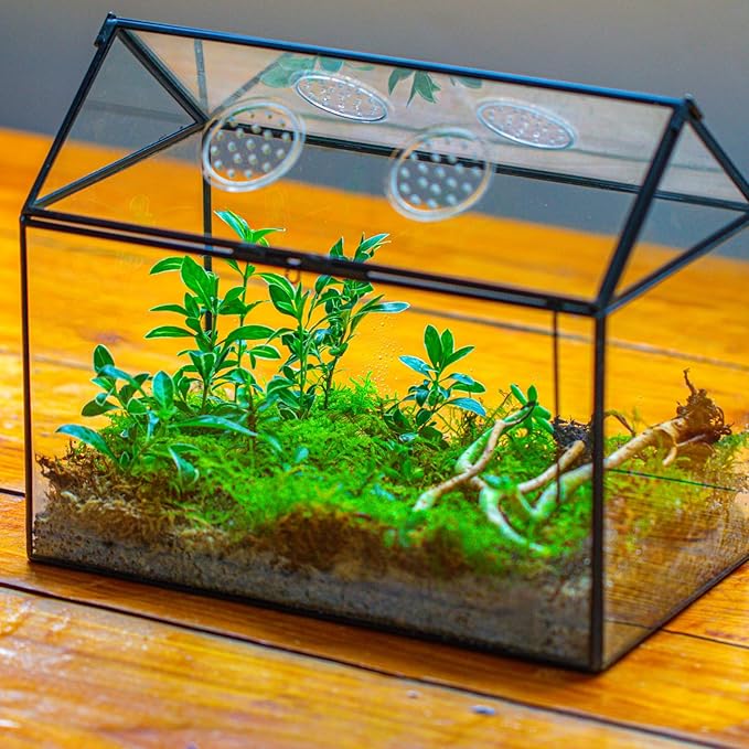 NCYP Glass Terrarium with Lid and Air Holes for Snails, Succulents Plants, Small Cactus - 10.2" x 5.9" x 8.2" House Shape Geometric Clear Box, Indoor Tabletop Decor Black (Terrarium Only)