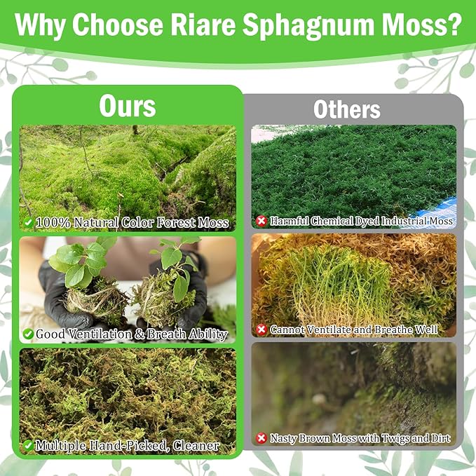 Riare 7OZ Premium Sphagnum Moss for Plants- 10QT Natural Dried Plant Moss for Potted Plants, Orchid Moss for Repotting, Soft Green Decorative Moss for Succulents, Reptiles & DIY Crafts