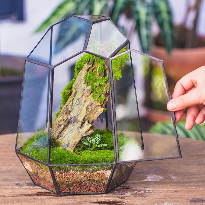 NCYP Close Geometric Glass Terrarium with Door - 9.8 inches Tall Irregular Planter for Succulents, Small Cacti, Modern Home Garden Tabletop Decor, Black, Handmade (Plants NOT Included)