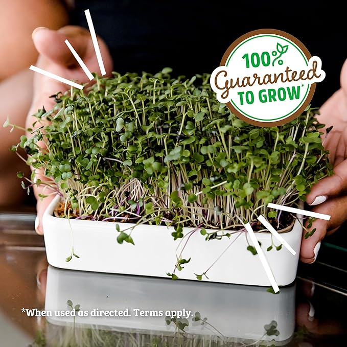 Back to The Roots Organic Microgreens Grow Kit with Ceramic Planter, Expandable Soil, Organic Seeds, and Germination Lid