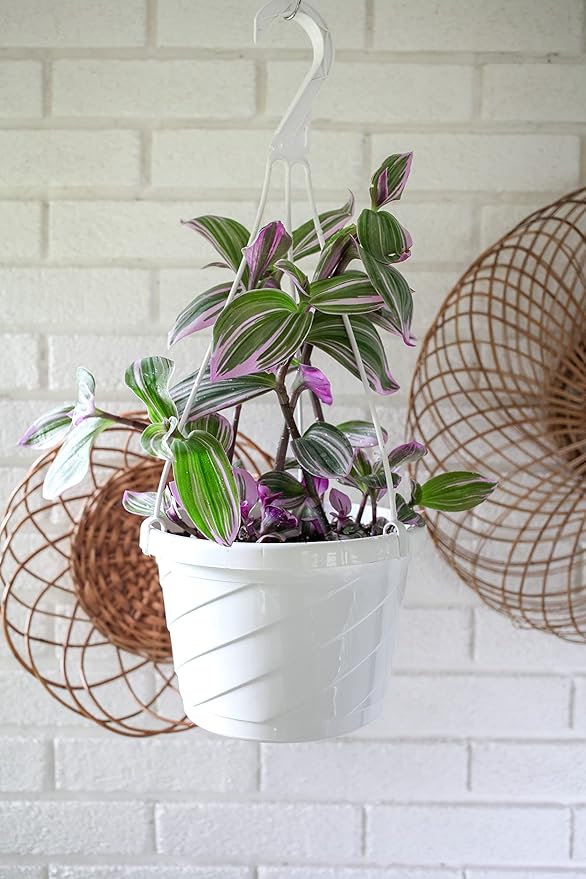 Euro Hanging Basket Planter - The HC Companies | Decorative 12-Inch Large Plastic Hanging Basket w/Swirl Design for Outdoor Plants, White (Pack of 2)