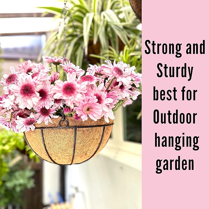 LaLaGreen Hanging Baskets for Outdoor Plants(6 Pack, 14 Inch) Large Hanging Planter with Coco Liner Round Flower Pots, Black Metal Wire Plant Holder Hook Hanger Deck Porch Modern Garden Balcony Decor