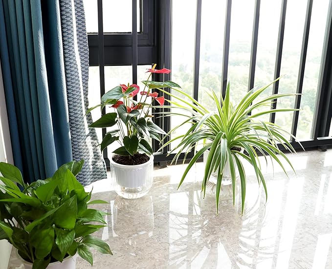 Meicynhoger 2-Pack Clear Self-Watering Hanging Planter for Spider Plant,Ivy,Orchids,Pothos - 6.5" Flower Pot with Hooks for Indoor Outdoor,Table, Balcony, Wall,Deck,Garden Transparent
