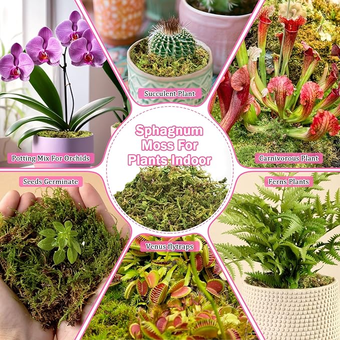 Riare 4.4LBS Premium Sphagnum Moss for Plants- 80QT Natural Dried Plant Moss for Potted Plants, Orchid Moss for Repotting, Soft Green Decorative Moss for Succulents, Reptiles & DIY Crafts