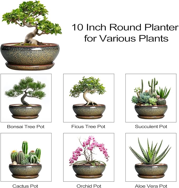 SQOWL Bonsai Planter - 10 Inch Ceramic Succulent Pots, Shallow Plant Pot Indoor with Drainage Hole and Saucer, Ceramic Bonsai Pots, Round Planter Bowl Outdoor, House Decor, Plant Lover Gifts, Brown