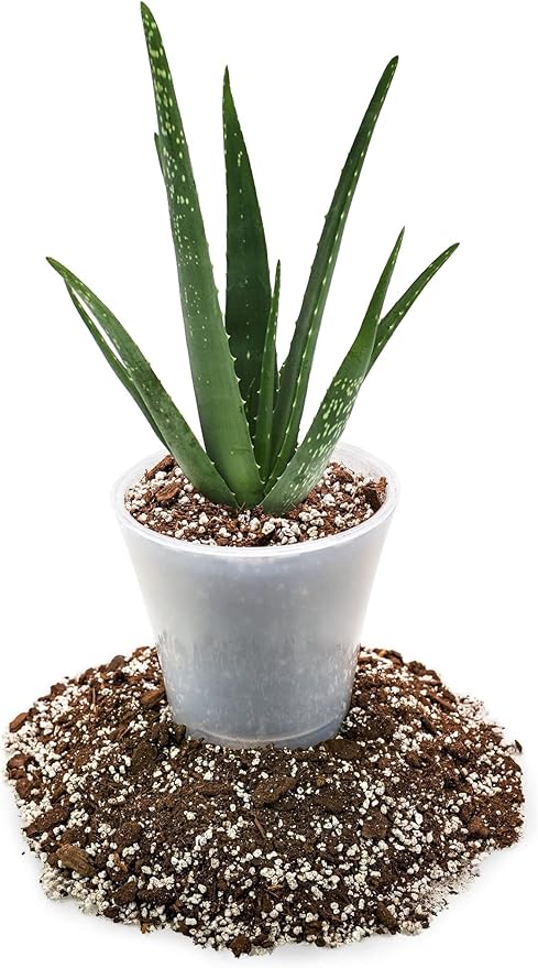 GARDENERA Premium Aloe Vera Potting Soil Mix - 10 Quart - (2 Bags of 5QT)