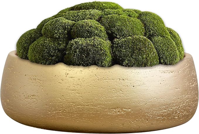 Olly & Rose Large Ceramic Planter Bowl Shallow Plant Pot - Gold Flower Pot Indoor and Outdoor Decorative Bowl Garden and Home Décor