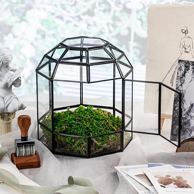 NCYP Geometric Glass Terrarium Dome for Succulent Cacti Air Plants, 6.6x6.6x8 Inches Closed Birdcage Planter Pot, Indoor Miniature Fairy Garden Display Container, Black, Handmade (Only Terrarium)