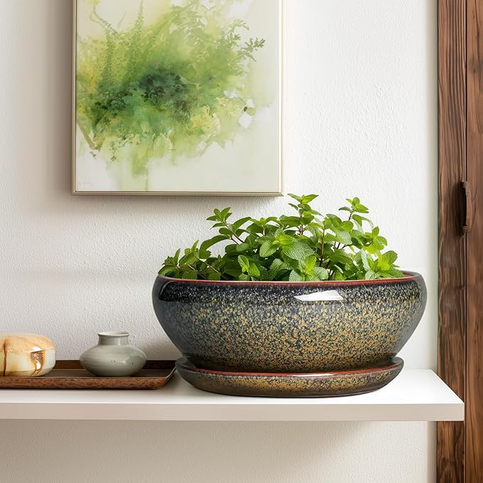 SQOWL Ceramic Bonsai Pots - 12 Inch Succulent Pots with Drainage Hole and Saucer, Large Succulent Planters, Shallow Planter Indoor Outdoor, Round Planter Bowl, Home Decor, Gift for Plant Lover, Brown