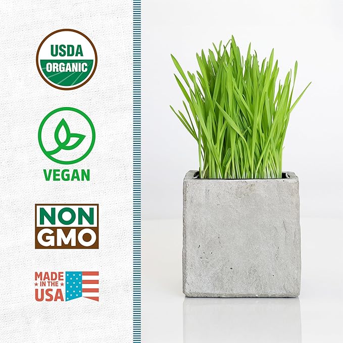 Back to The Roots Organic Wheatgrass Seeds – 2lb Non-GMO Value Pack; Great for Growing Nutritious Wheatgrass, Also Catgrass (Natural Hairball Remedy for Cats)