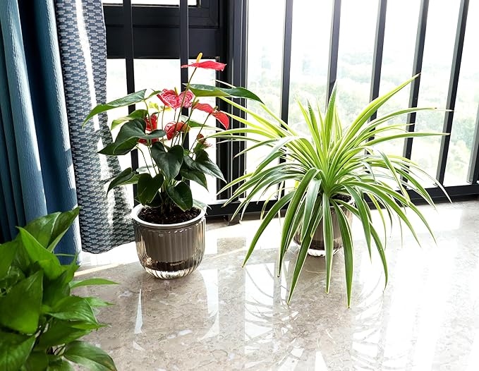 Meicynhoger 2-Pack Vintage Plastic Self-Watering Hanging Planters for Spider Plant,Ivy,Monstera,African Violets - 6.5" Clear Flower Pot with Hooks for Indoor Outdoor,Table, Balcony, Wall,Garden Gray
