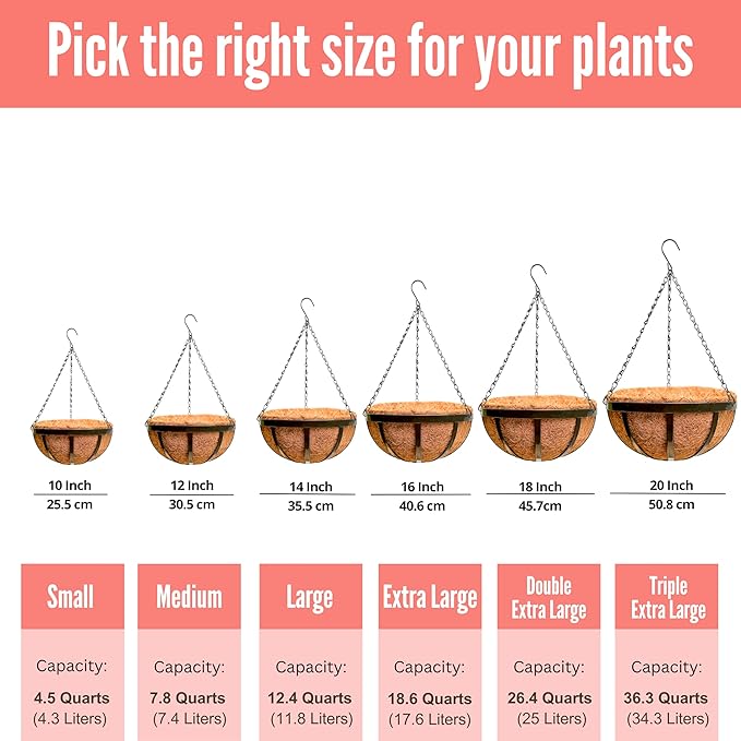 LaLaGreen Outdoor Hanging Baskets for Plants (6 Pack, 16 Inch) Large Hanging Planter with Coco Liner, Black Plant Metal Flat Iron Round Flower Pots Deck Patio Modern Garden Balcony Outside Decoration