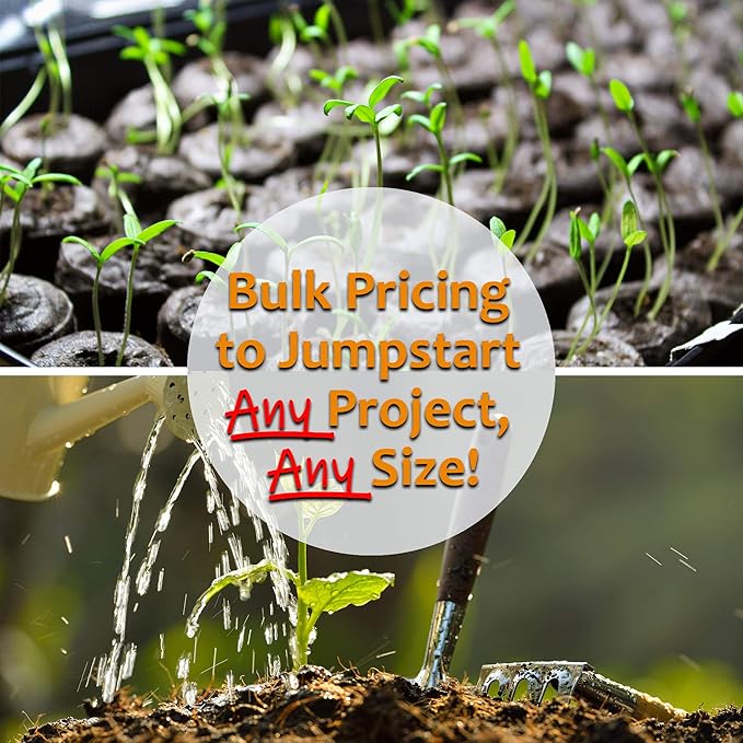 Mammoth Melting Sugar Pod Snow Pea Garden Seed - 5 Lbs ~9,000 Seeds - Non-GMO, Heirloom Vegetable Gardening & Microgreens Seed