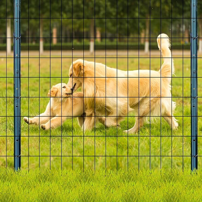 Welded Wire Fence 2ft x 50ft Mesh Size 2-Inch x 3-Inch Wire Mesh Roll Chicken Wire Metal Fencing Poultry Netting for Garden Fence, Animal Barrier (USE 3 FT Post)