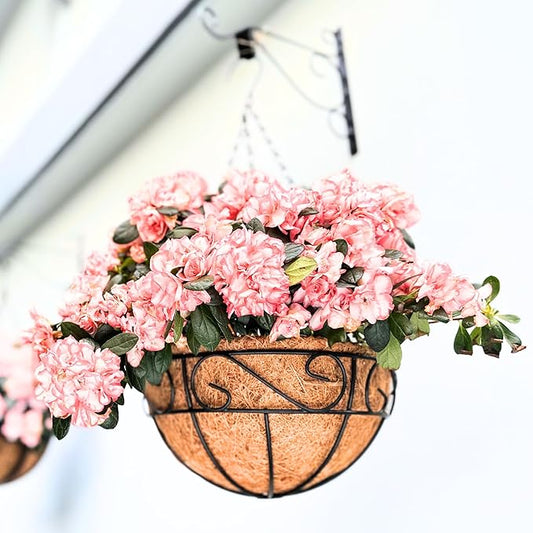 LaLaGreen Hanging Planter for Outdoor Plants (16 Inch, 6 Pack) Hanging Baskets with Coco Liner, Black Metal Wire Flower Basket Pots with Hook Hanger Balcony Porch Farmhouse Country Style Garden Decor