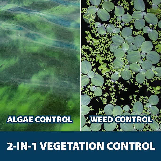 Airmax Knockdown Defense 2-in-1 Liquid Pond Algae Control, Effective & Fast Acting Algaecide, Aquatic Weed Treatment for Clear Water in Ponds & Lakes, Liquid Formulation for Easy Use, 16 fl oz