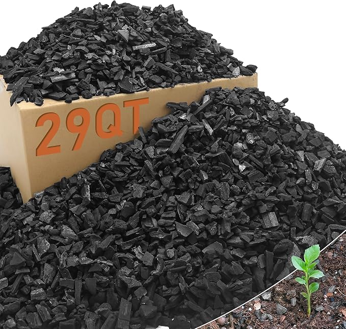 29 Quarts Horticultural Charcoal for Plants-Plant Charcoal Soil Amendment for Potting Soil Indoor Plants, Succulent Soil, Paphiopedilum, Bonsai, Terrarium,and Gardening