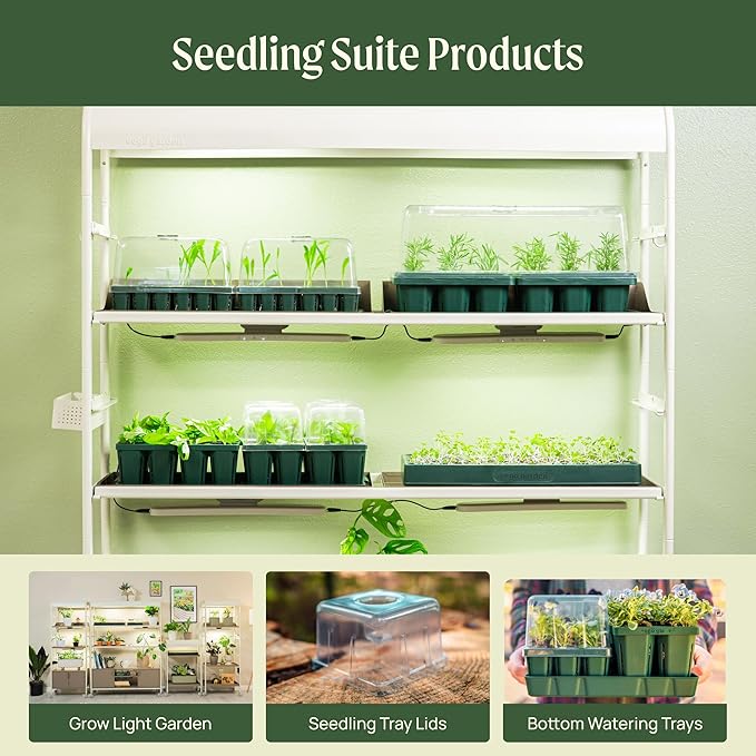 Vego garden 10" x 20" 76 Cells Seed Starter Tray Stackable Seedling Starting Germination Trays for Plants Planting Vegetables Herbs Flowers, 2 Set