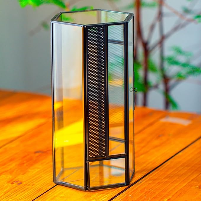 NCYP Small Glass Enclosure Terrarium with Mesh and Door for Jumping Spiders, Insects - Hexagon Shape Succulents Terrarium 4.9'' x 3.9'' x 9.4'', Tabletop Decor, Black (Plants Not Include)