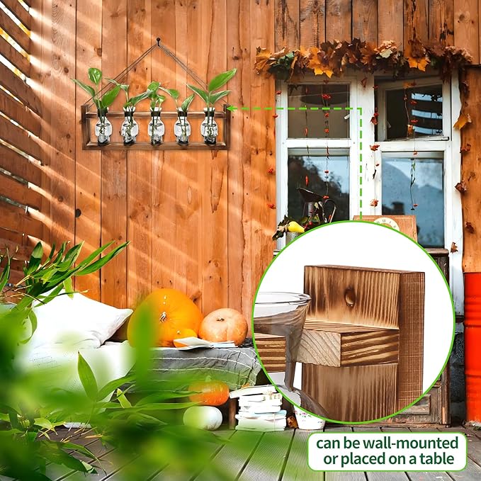 Plant Terrarium Propagation Stations Halloween Skull Planter Vase Skulls Decor with Wooden Stand Gife for Father - 5 Vases
