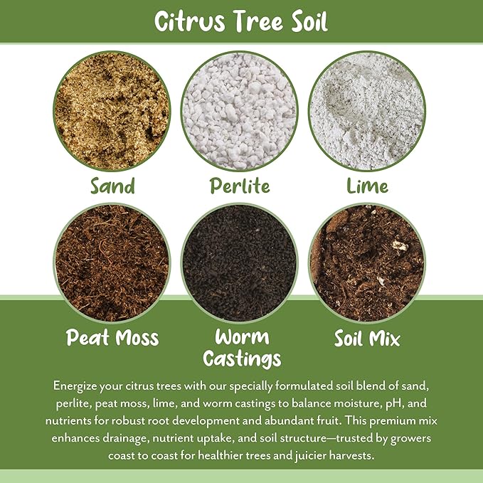 Soil Sunrise Citrus Tree Potting Soil Mix (12 Quarts) Special Blend for Indoor Oranges, Lemons, Limes and More