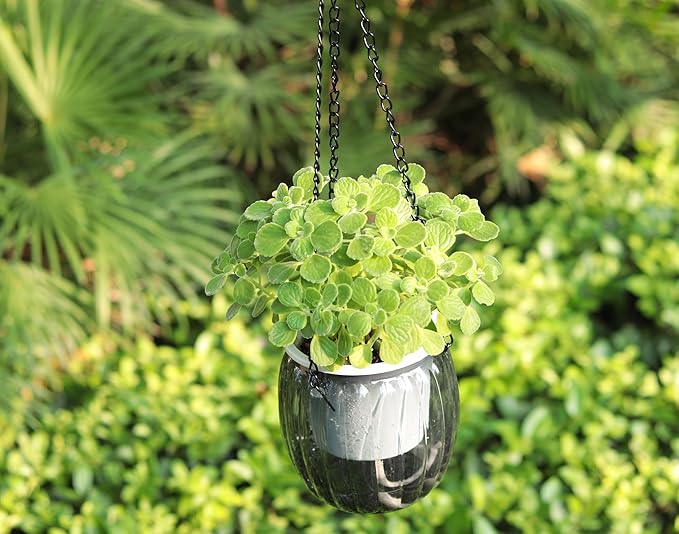 Meicynhoger 4-Pack Plastic Self-Watering Hanging Planters for Snake Plant,Succulents,African Violets - 4.3" Clear Flower Pot with Hooks for Indoor Outdoor,Table, Balcony,Deck,Garden Gray