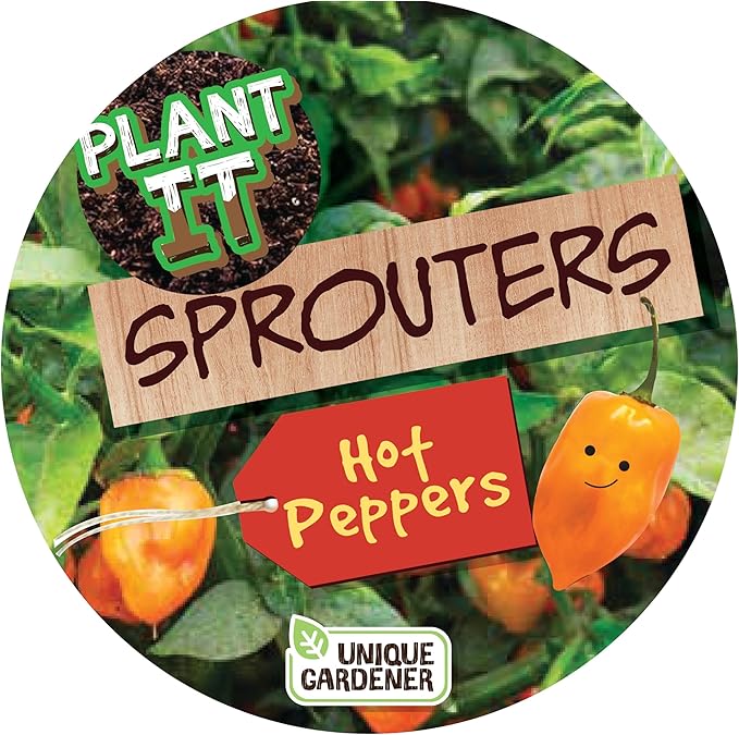 Plant-It Starters Plant Seeds 4-Pack, DIY Indoor Succulents and Live Plants for Home or Garden Planting, Hot Peppers