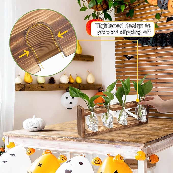 Plant Propagation Stations Halloween Skull Plant Terrarium Kit Glass Vases Gift for Father Air Planter Home Office Decor