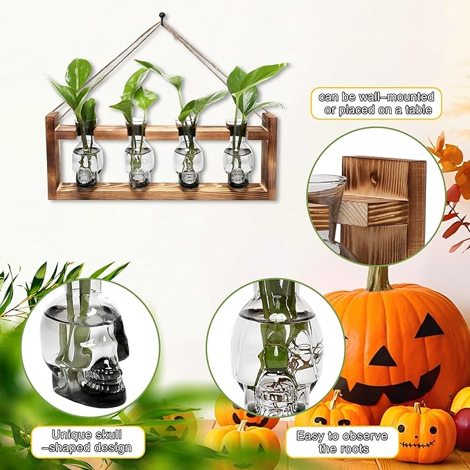 Plant Propagation Stations Halloween Skull Plant Terrarium Kit Glass Vases Gift for Father Air Planter Home Office Decor