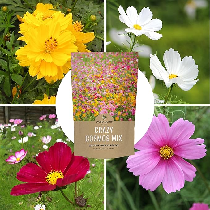 Bulk Cosmos Seeds Wildflower Mixture - 5 Pounds - Over 400,000 Seeds - Pink, Yellow, Orange, Red, Purple and White Mixed Species!