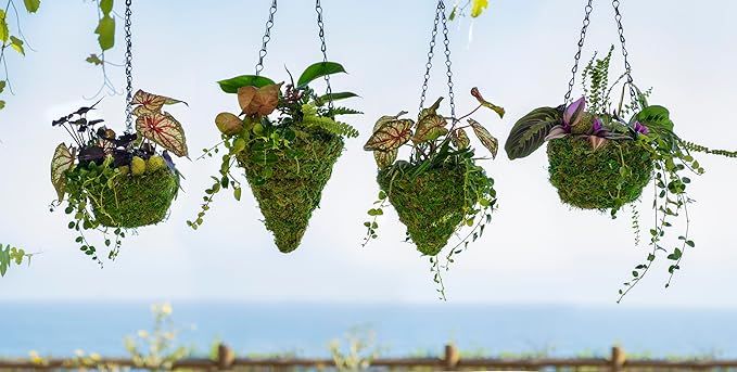SuperMoss MossWeave (29270) Mini Hanging Basket Set of 4, Fresh Green