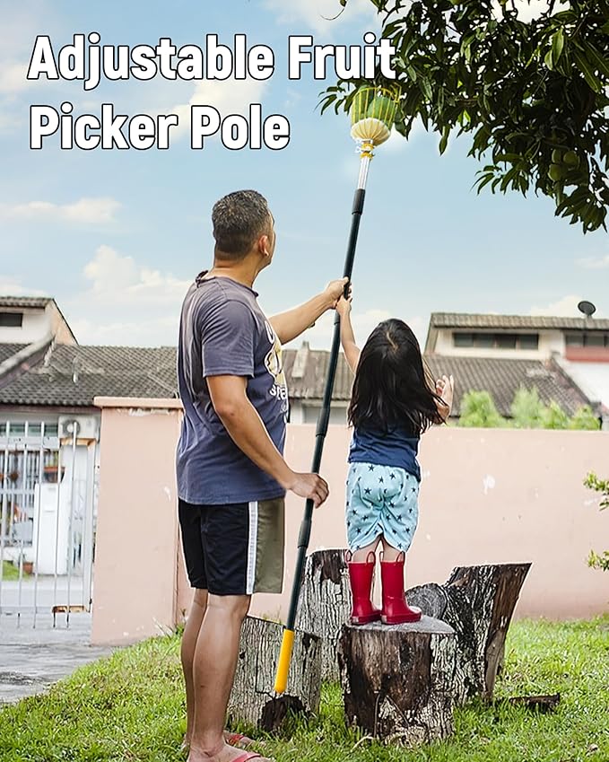 6.5FT Fruit Picker, Apple Picker Tool with Adjustable Pole and Basket, Long Reach Mango Grabber Tool, Tree Fruit Catcher for Picking Lemon Pear Orange Avocado Peach Citrus