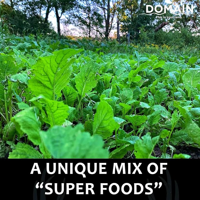 Domain Outdoor Bombshell Food Plot Seed for Deer, 1/2 Acre, Designed to Handle The Toughest Conditions, Quick Establishment - Ethiopian Cabbage, Forage Collards, Hybrid Forage Brassica, Forage Turnip