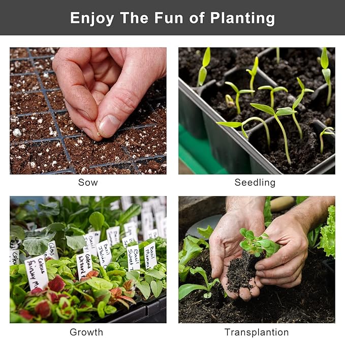 Elcoho 6 Pack Seed Starter Tray Kit 40 Cells Seedling Trays with Humidity Dome and Base Mini Propagator Plant Nursery Pots Total 240 Cells for Greenhouse Plants Growing, Black