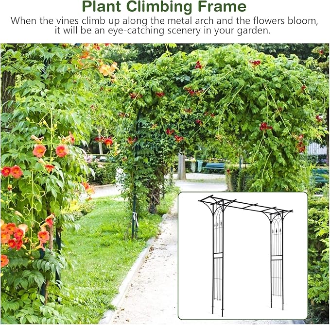 Safstar Metal Arch, 81-Inch Outdoor Garden Arbor for Various Climbing Plant Flower, Wedding Arch Backdrop Arch Stand for Wedding Garden Bridal Party Ceremony Decoration, Easy-to-Assemble, Black