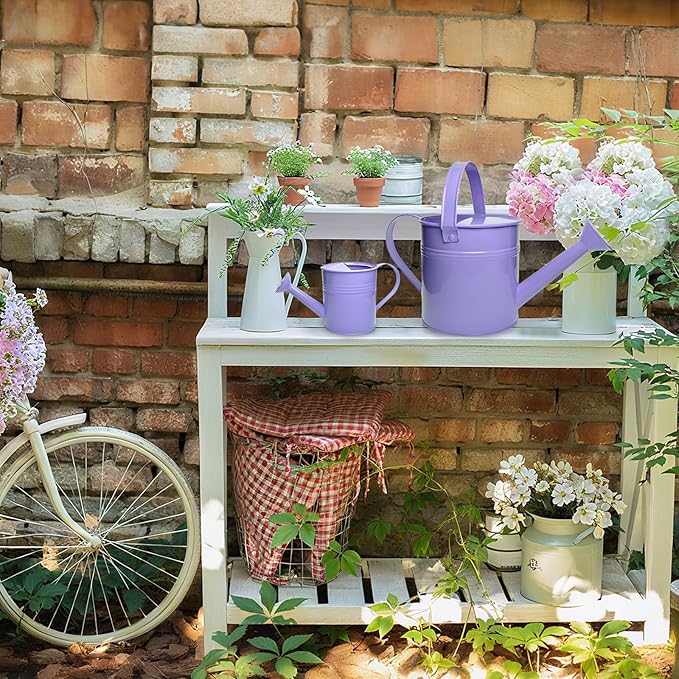 Small Metal Watering Can Set, Pink, 1.2L and 0.23L Garden Cans with Long Spout, Indoor Outdoor Plant Care (Purple)