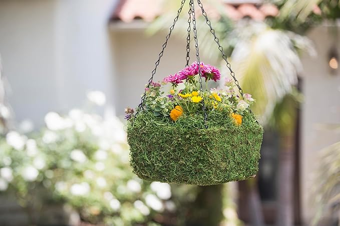 SuperMoss (29210) MossWeave Hanging Basket - Square, Fresh Green, Small (10.5 Diameter)"