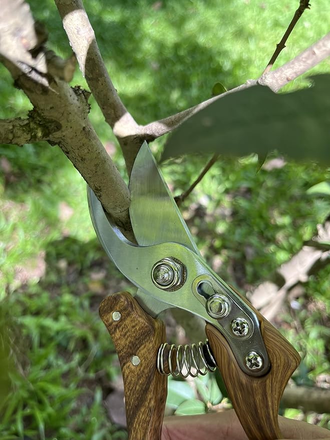 Pruning Shears, Flower Cutters for Stems, German Stainless Steel Blades, 1 inch Cut Capacity, Garden Snips with Non-Slip Handle, Lightweight & Ergonomic Professional Garden Tools for women