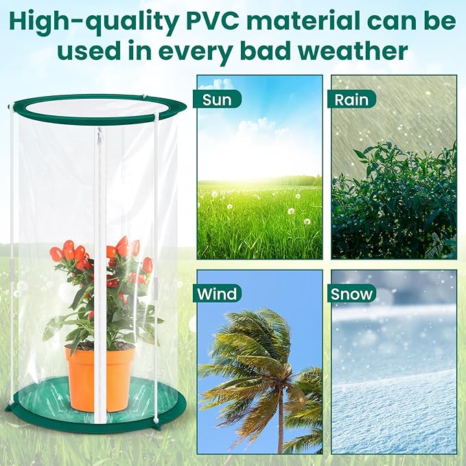 Nuanchu 1 Piece Mini Greenhouse 19.7 x 10.2 Inch Portable Plant Flowers Mini Cover PVC Clear Greenhouse for Indoor Outdoor Gardening