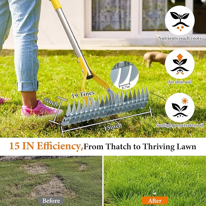 Thatch Rake for Lawns - 15in Dual-Action Dethatching Thatcher Rakes with 55'' Handle,Heavy Duty Manual Dethatcher & Scarifier Tool for Dead Grass,Moss,Weeds,Thatching Remover,Garden Yard Care Rake