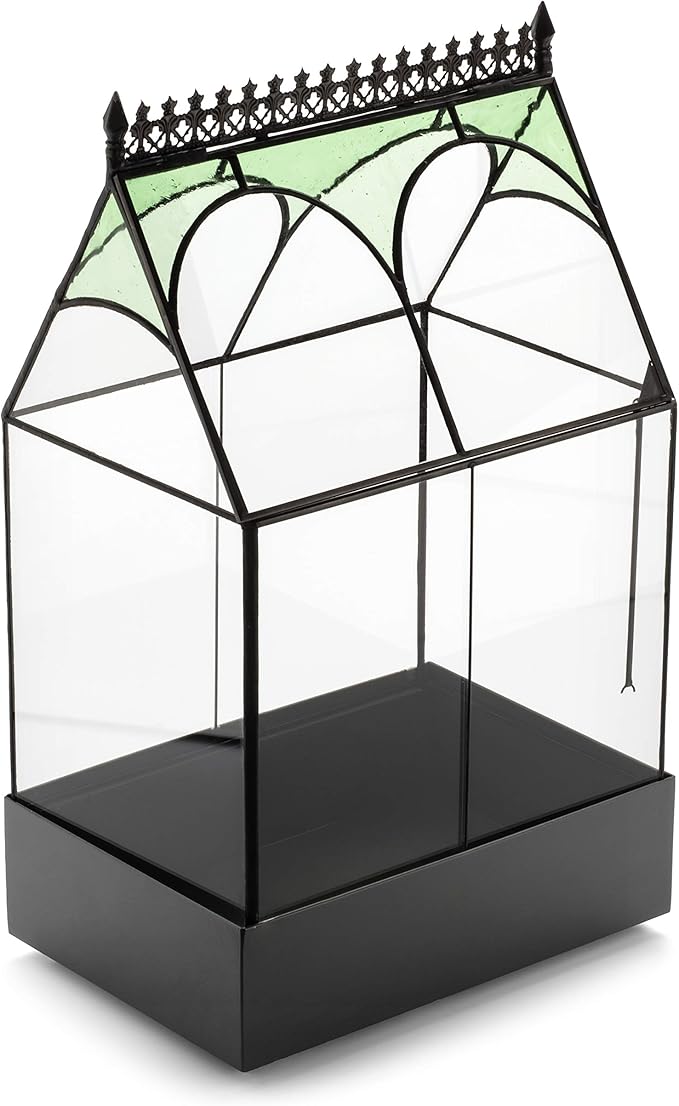 H Potter Glass Plant Terrarium Wardian Case Succulent Planter Container War158