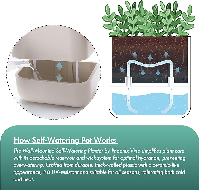 Phoenix Vine 6.5-Inch Wall Mounted Self-Watering Planter Pot for Indoor Houseplants and Herbs | Hanging Planter for Window Sills, Bathroom Walls, Home & Office Décor, Oatmeal, Set of 3, 01-WP-D-3