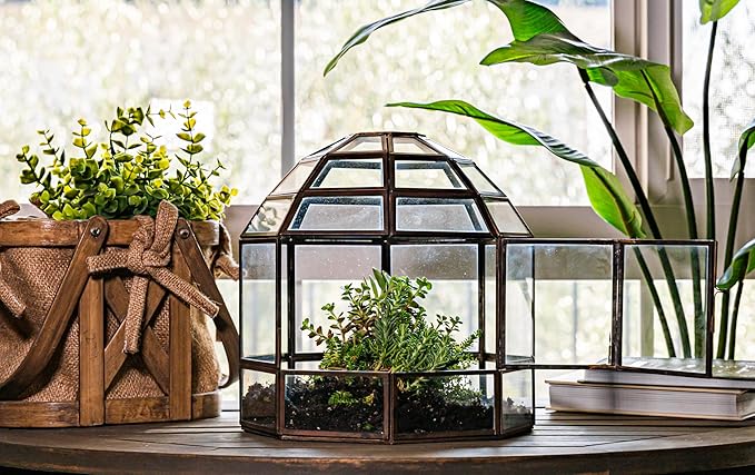 Urban Born Handmade Birdcage Style Glass Terrarium in Bronze — 10" x 9" x 9"