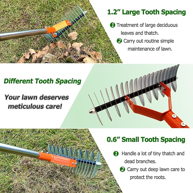 Thatch Rake,14-Inch Lawn Thatching Rake,Reinforced Neck with Heavy Duty Handle, Multi Angle Tine Design for Efficient Dead Grass Removal and Soil Care