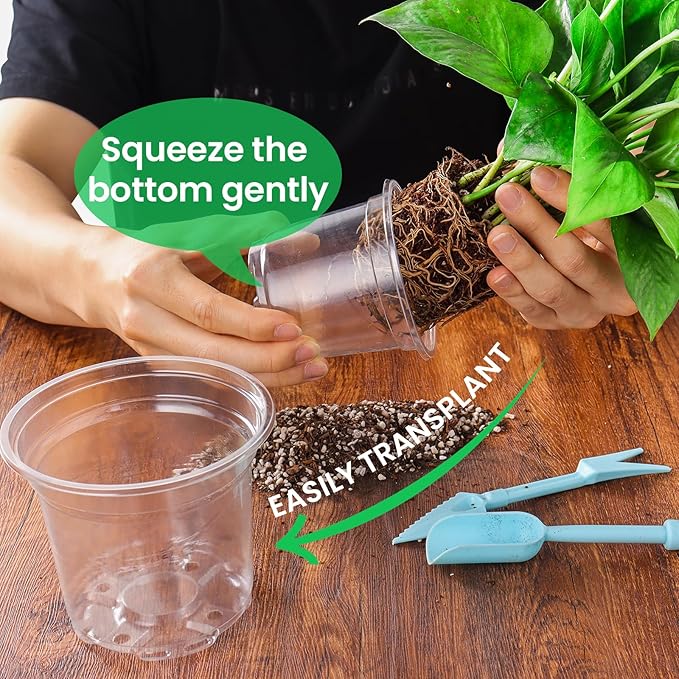 30 Packs 6.7/5/4 Inch Reinforced Clear Nursery Pots with Drainage Hole, Transparent Variety Pack Plastic Plant Pot Seedling Planter for Vegetable Propagation, Root Cutting, Seed Starting