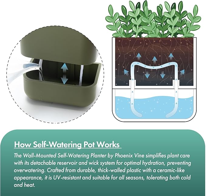 Phoenix Vine 6.5-Inch Wall Mounted Self-Watering Planter Pot for Indoor Houseplants and Herbs | Hanging Planter for Window Sills, Bathroom Walls, Home & Office Décor, Olive, Set of 3, 01-WP-C-3