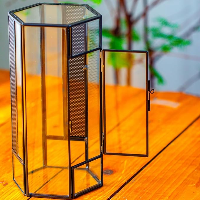 NCYP Small Glass Enclosure Terrarium with Mesh and Door for Jumping Spiders, Insects - Hexagon Shape Succulents Terrarium 4.9'' x 3.9'' x 9.4'', Tabletop Decor, Black (Plants Not Include)
